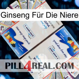 Ginseng Für Die Niere kamagra1